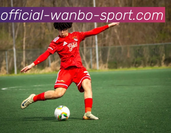 万博体育平台生态图