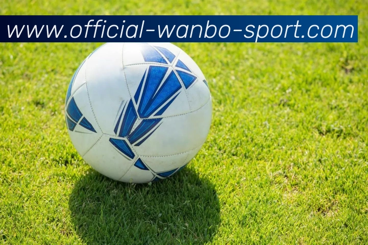 万博体育APP 封面图