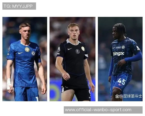 切尔西伤病情况更新九人缺阵帕尔默等六人预计下轮复出